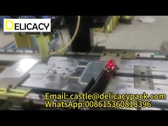 Op maat gemaakte bekledingsoplossing: Kies de bekledingsmachine voor rechthoekige tinbedekkingen