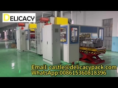 Delicatesse verpakkingsmachines co., ltd.